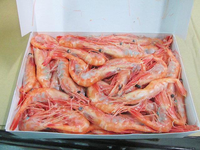 甘えび　(甘えび1kg、甘えびIQF、ボイル甘えび)